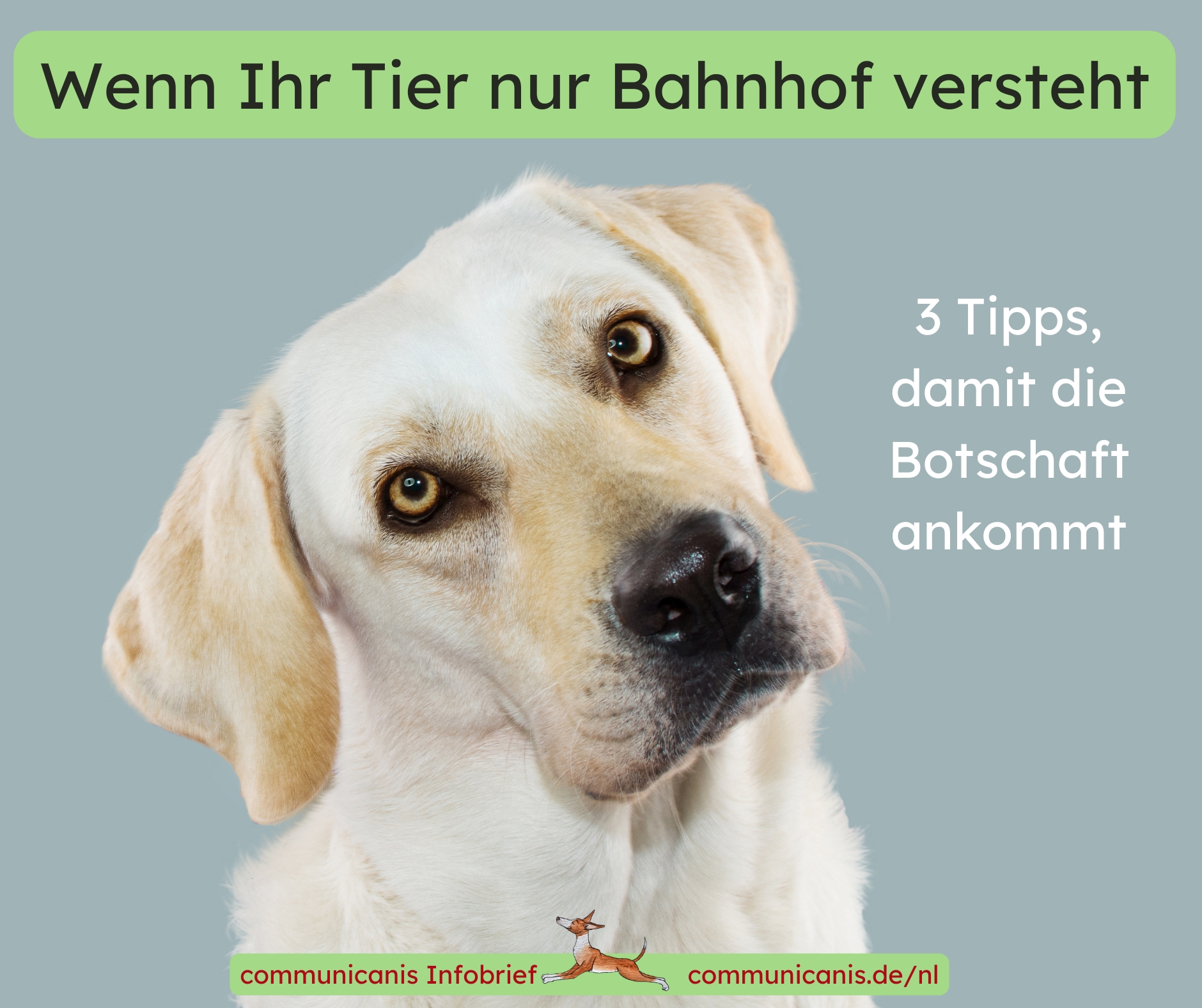 Verstehen statt Verwirrung