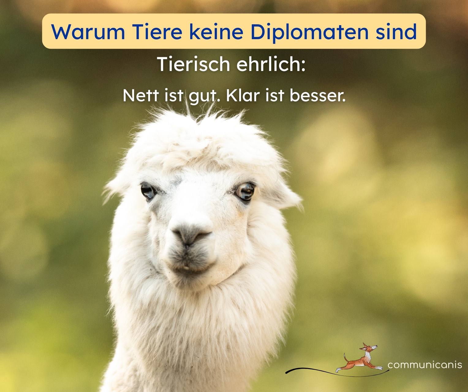 Tierisch ehrlich: klar und verständlich statt nett und neblig.