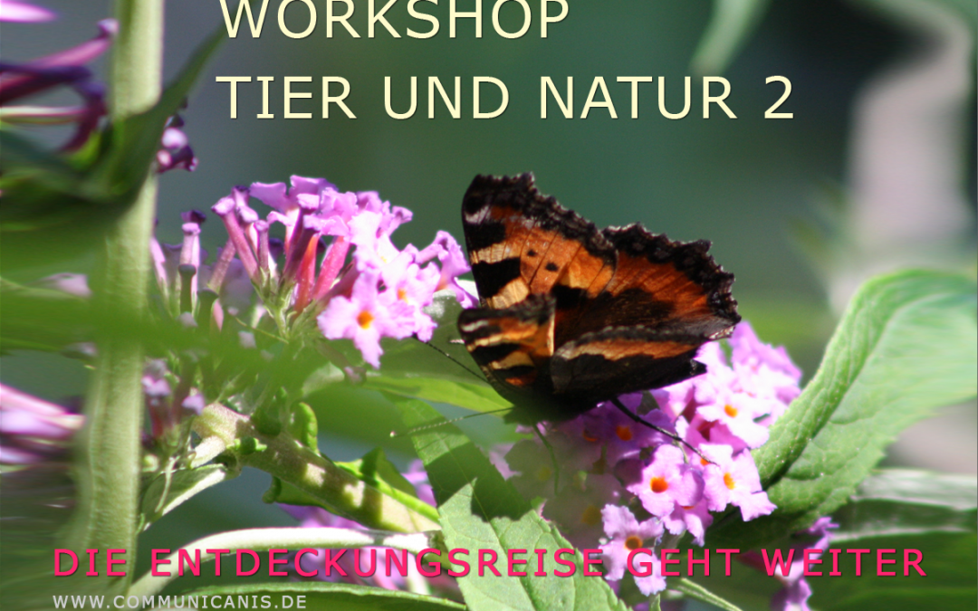 Workshop Tier und Natur 2