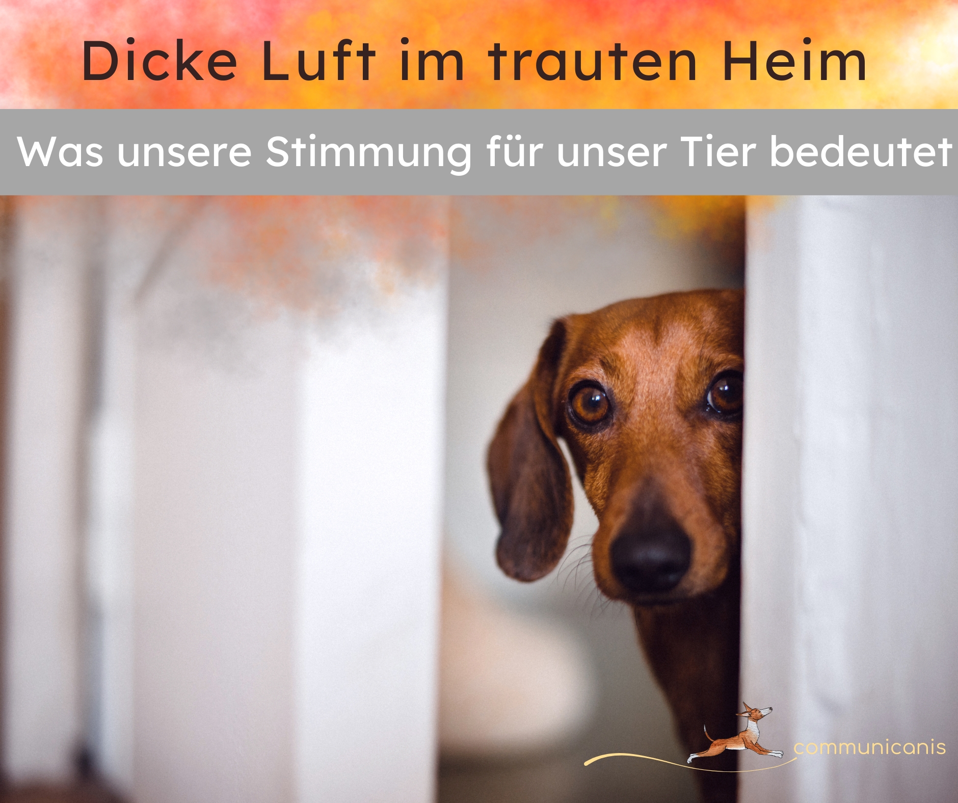 Dicke Luft im trauten Heim