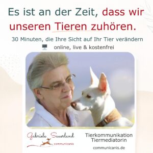 Tierkommunikation kennenlernen
