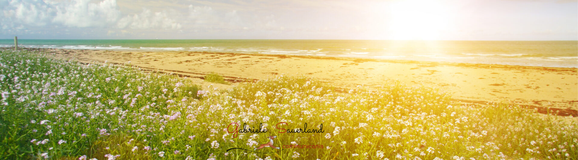 Gut begleitet auf dem Weg