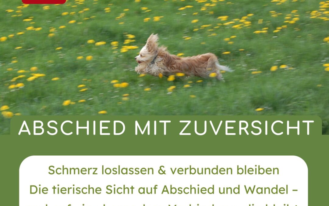 Abschied mit Zuversicht – die tierische Sicht
