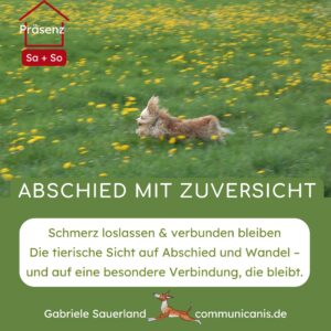 Abschied mit Zuversicht - das Seminar