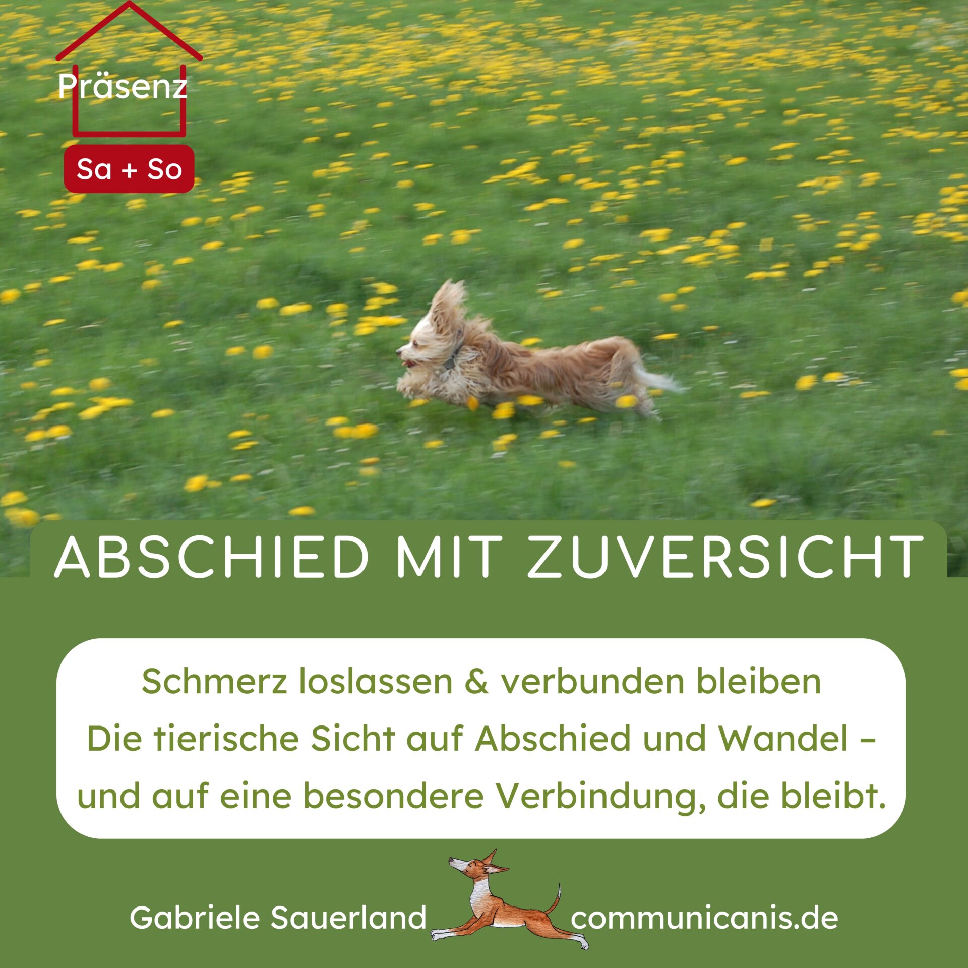 Abschied mit Zuversicht - das Seminar