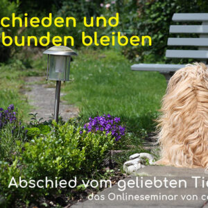 Verabschieden und verbunden bleiben