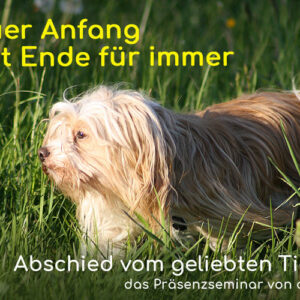 Ein neuer Anfang, statt Ende für immer