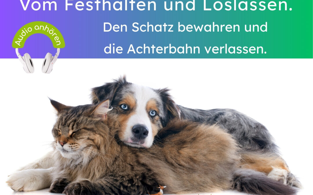 Achterbahn und Schatz