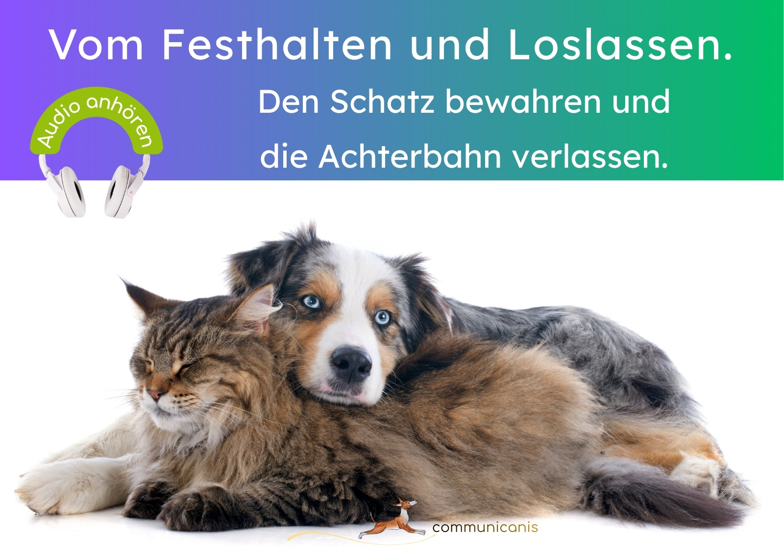 Den Schatz bewahren und die Achterbahn verlassen