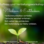 Aufbau- und Vertiefungsworkshop