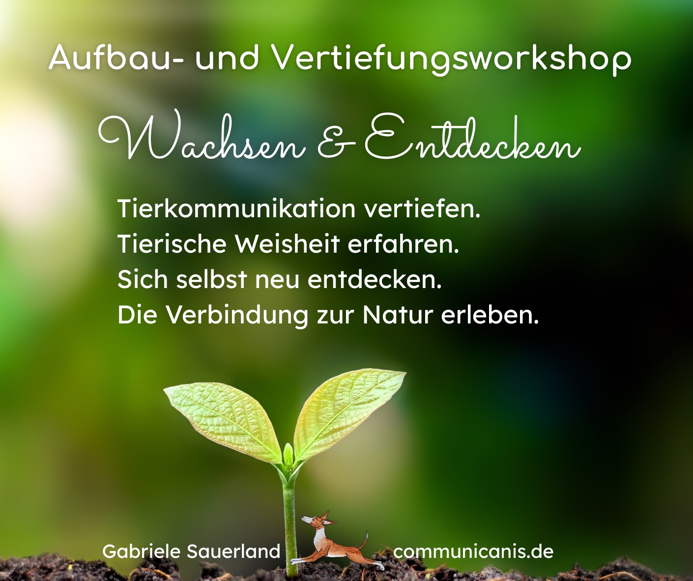 Aufbau- und Vertiefungsworkshop