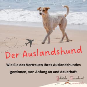 Der Hund aus dem Ausland