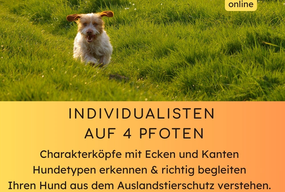 Individualisten auf 4 Pfoten: Charakterköpfe verstehen
