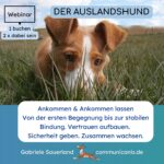 Auslandshund