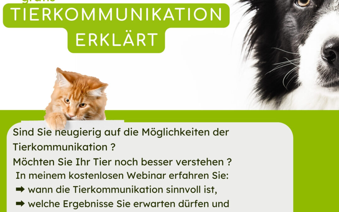 Tierkommunikation erklärt