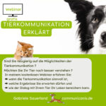 Tierkommunikation erklärt