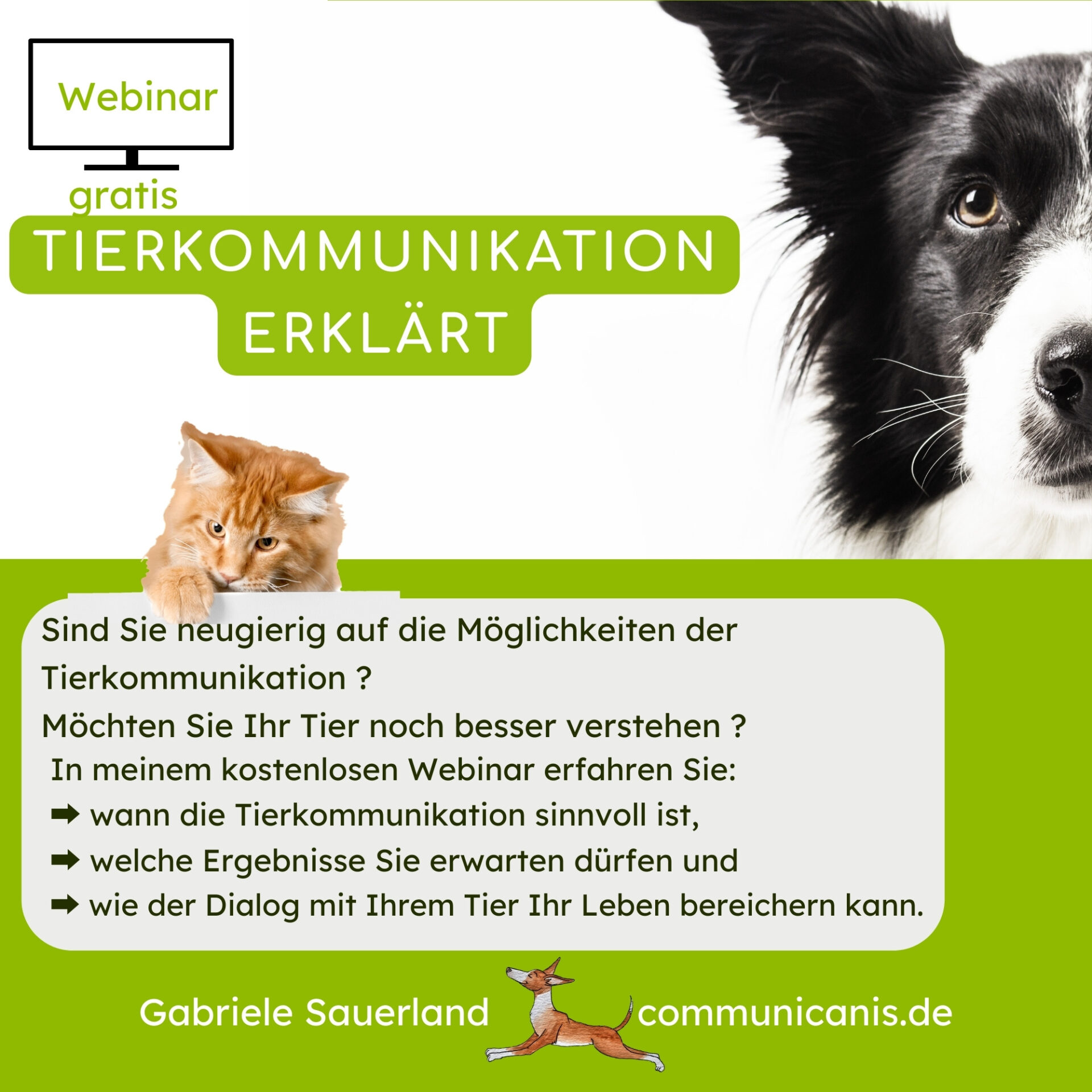 Tierkommunikation erklärt