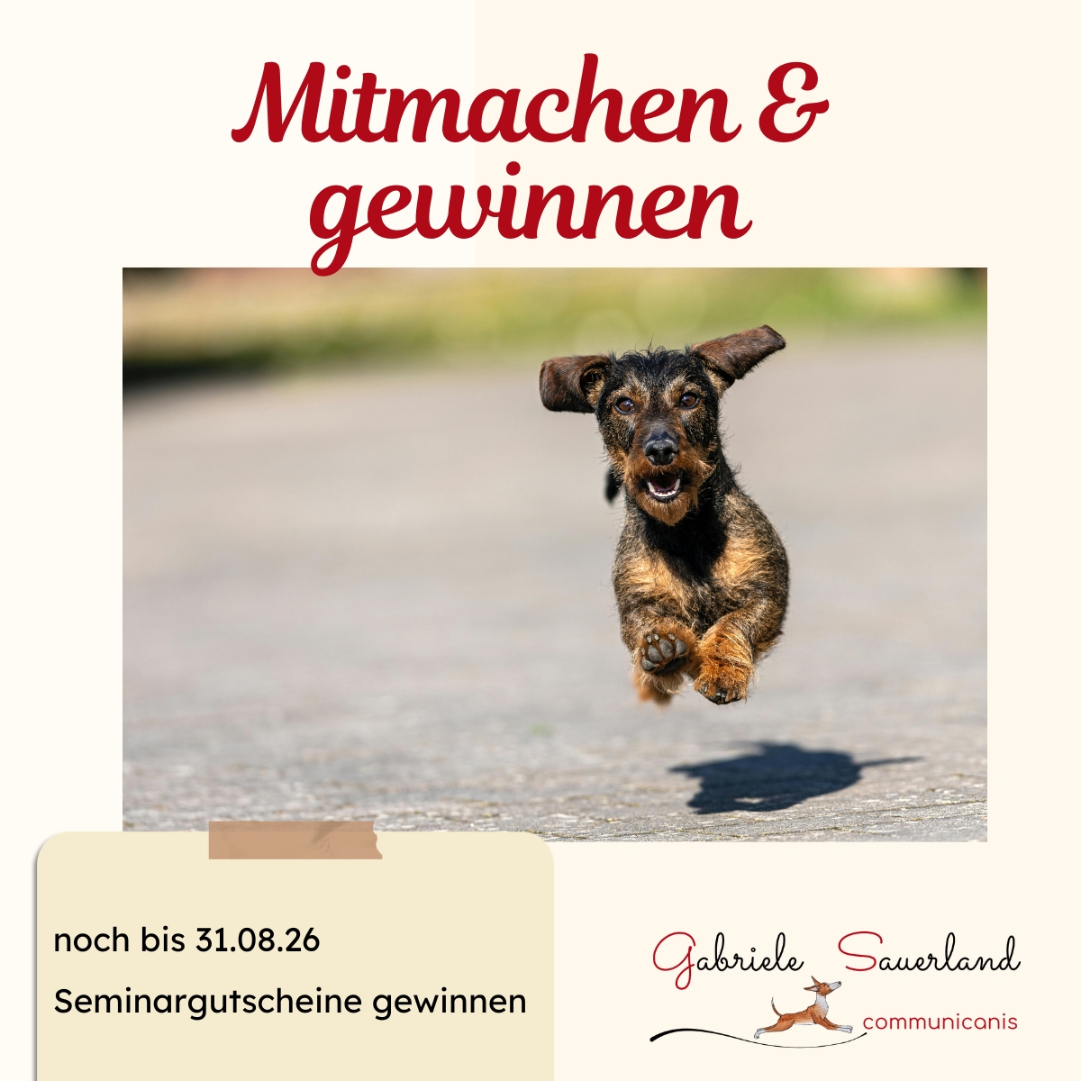 Mitmachen und gewinnen