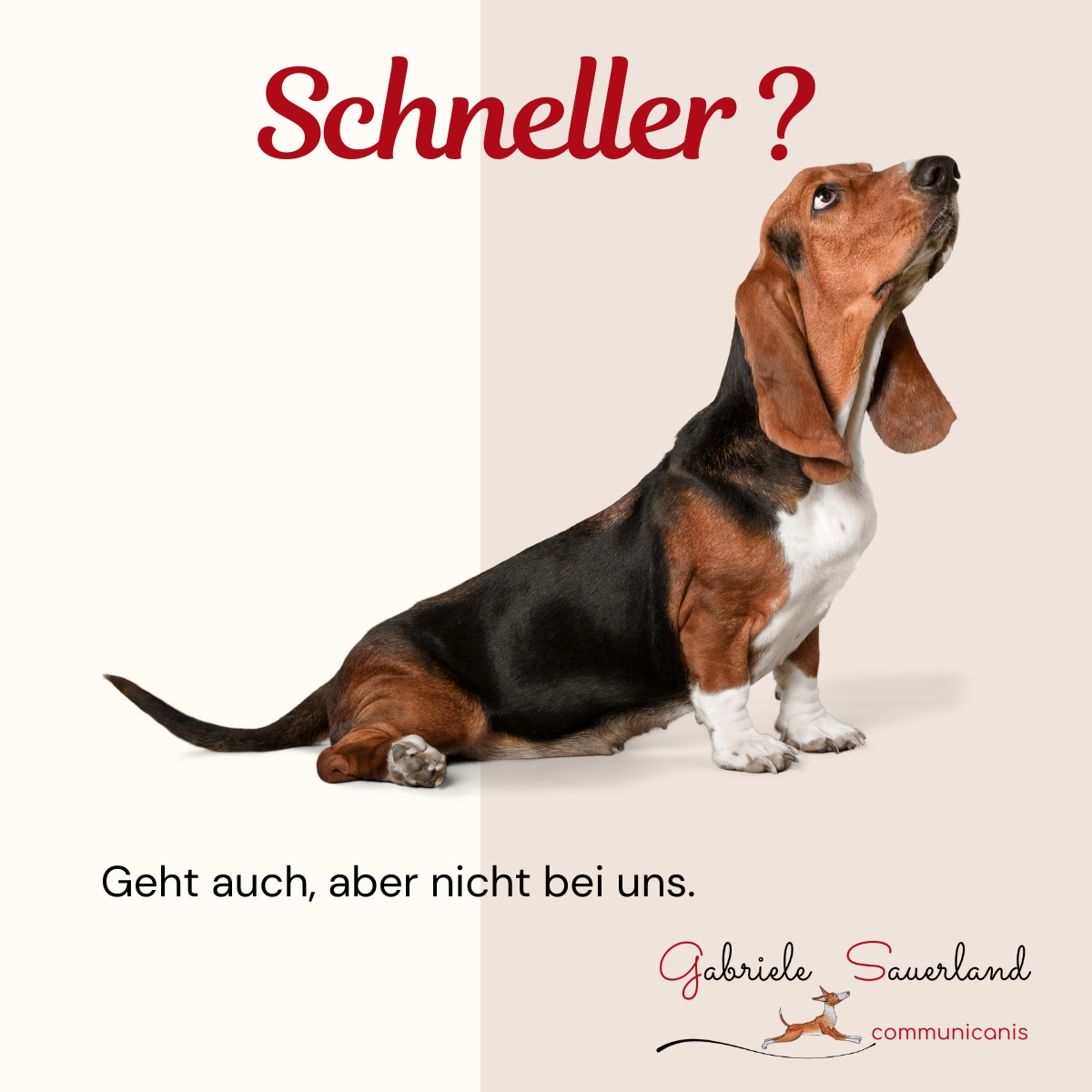 Basisseminar - Schneller