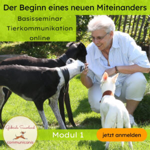 Basisseminar (Modul 1)