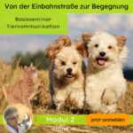 Basisseminar (Modul 2)