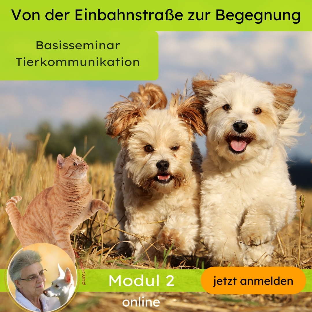 Basisseminar (Modul 2)