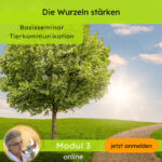 Basisseminar (Modul 3)