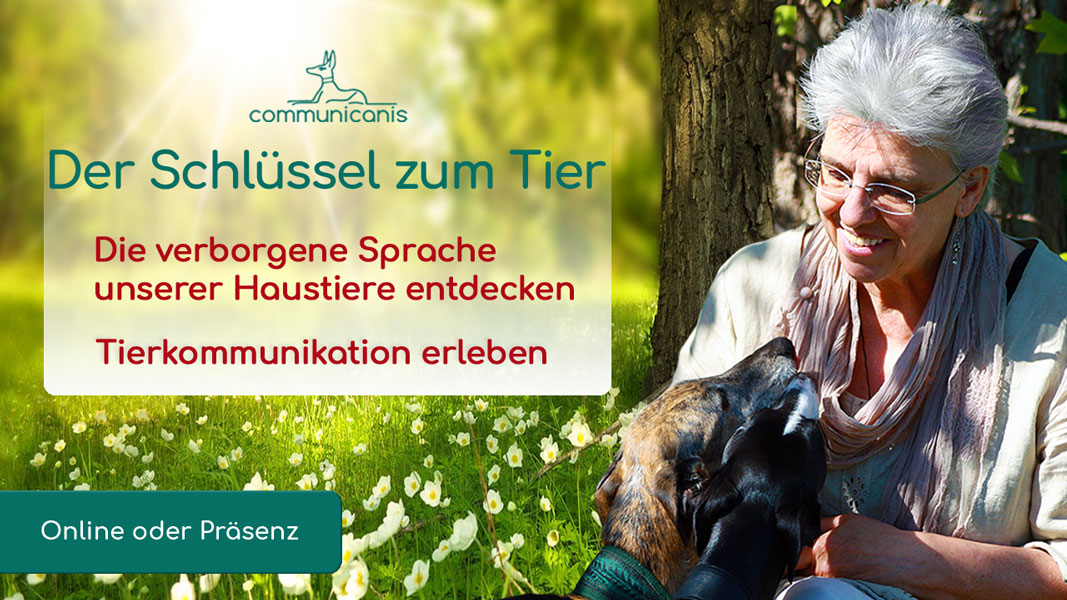 Basisseminar