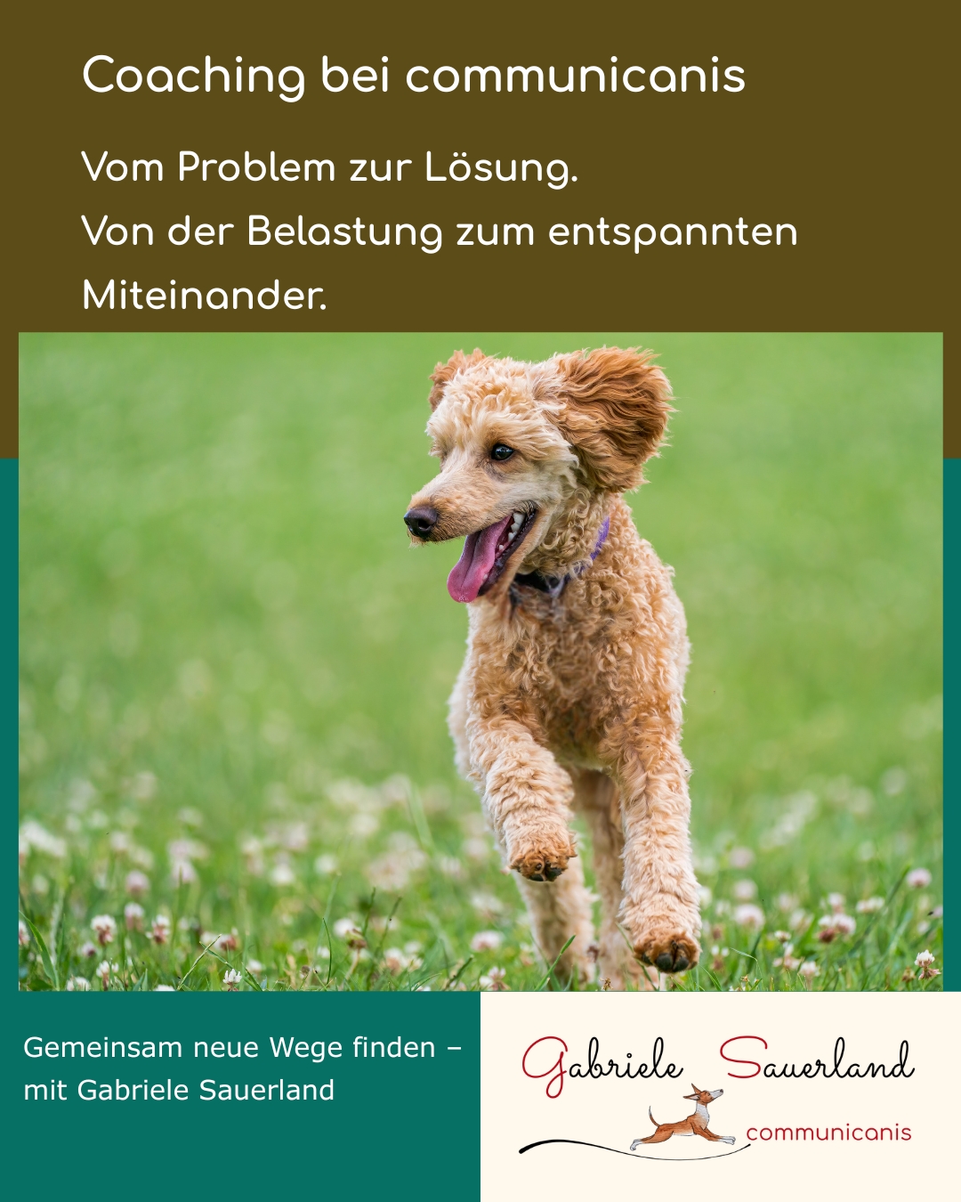 Coaching bei communicanis