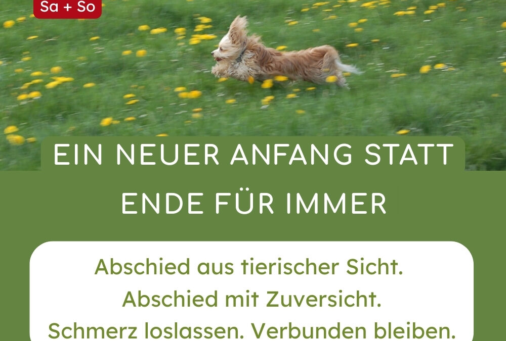 Abschied und Wandel aus tierischer Sicht