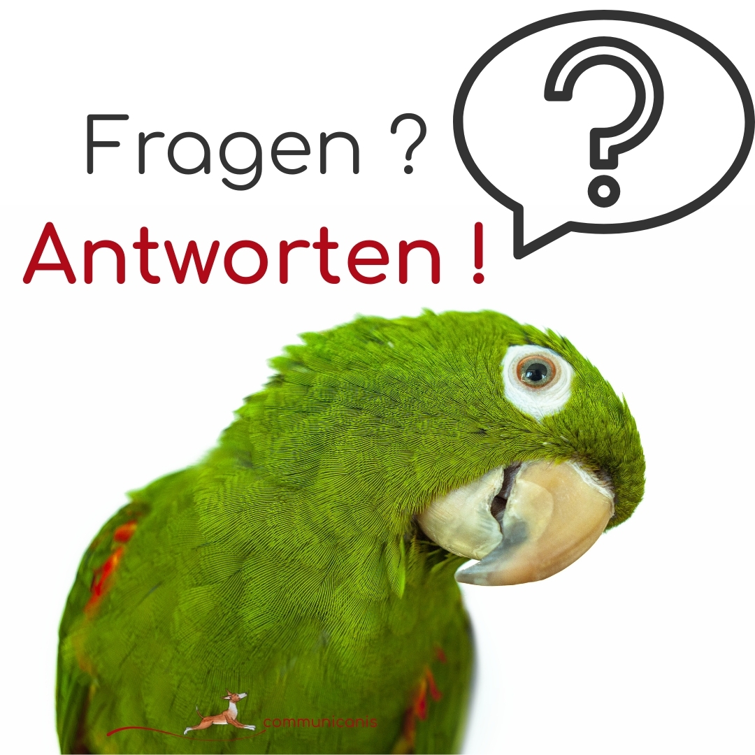 FAQ – Häufige Fragen zu communicanis | Tierkommunikation Gabriele Sauerland FAQ – Häufige Fragen zu communicanis | Tierkommunikation Gabriele Sauerland