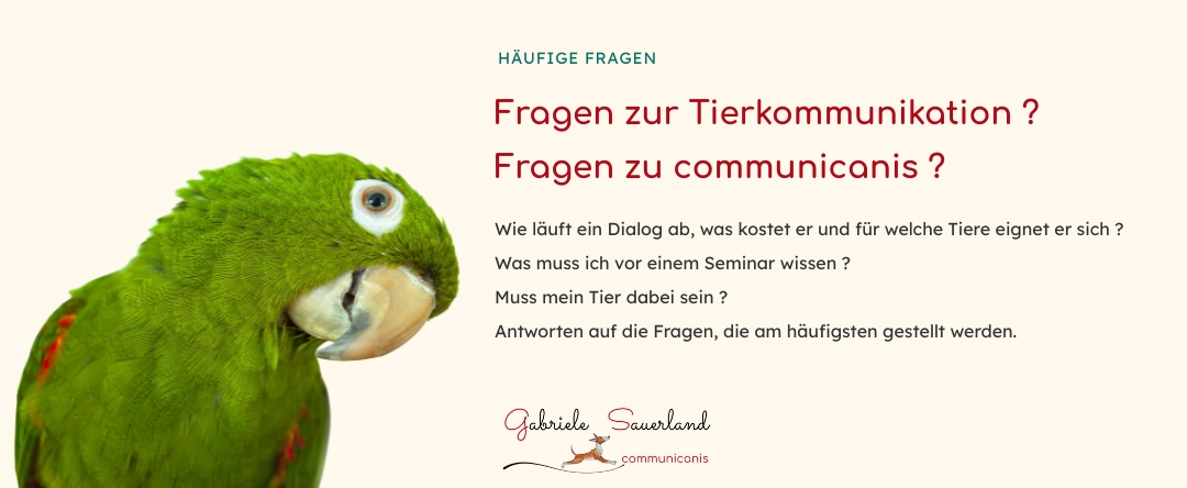 Fragen ? Antworten !