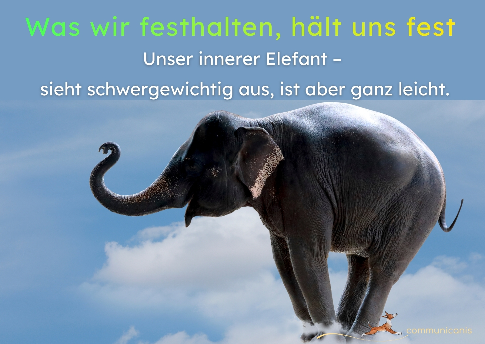 Unser innerer Elefant – sieht schwergewichtig aus, ist aber ganz leicht