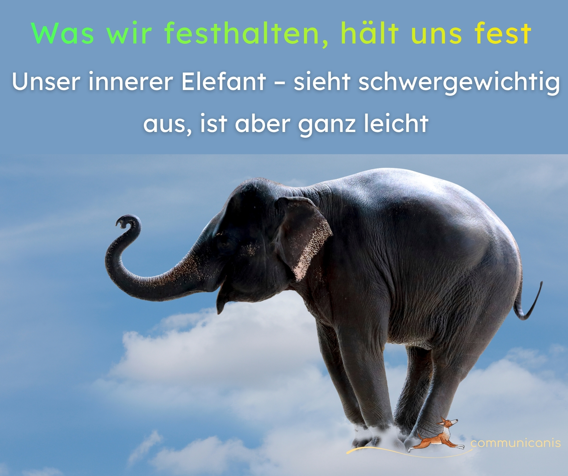 Unser innerer Elefant – sieht schwergewichtig aus, ist aber ganz leicht