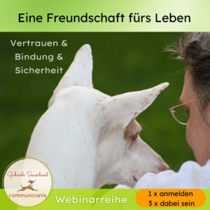 Freundschaft 1 Thema 3 Webinare
