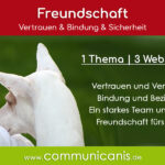 Freundschaft zwischen Mensch und Hund