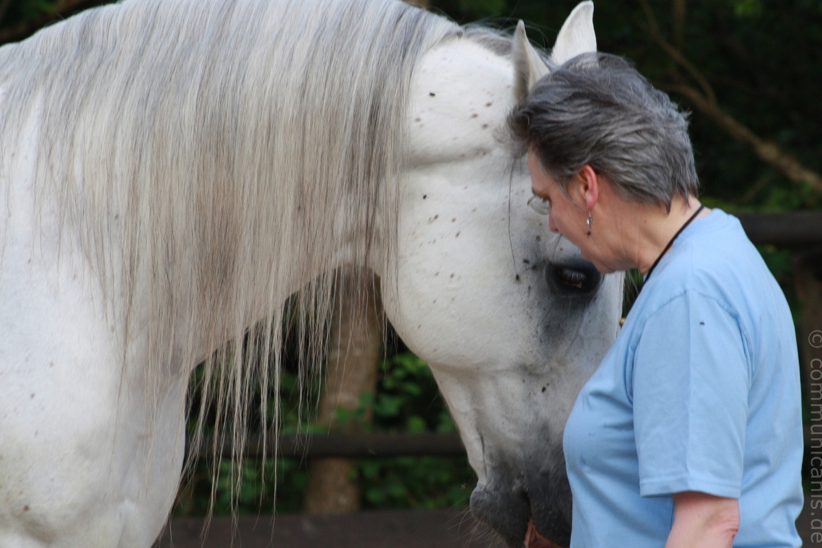 Gabriele Sauerland, Tiermediatorin bei communicanis, mit Pferd