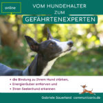 Vom Hundehalter zum Gefährtenexperten
