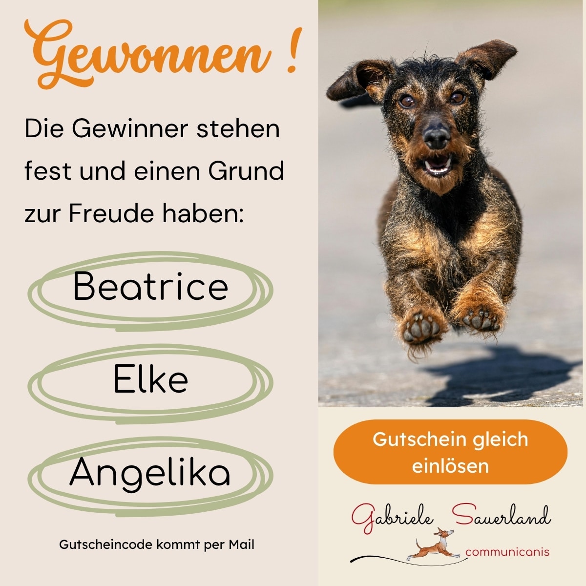 Gewinner