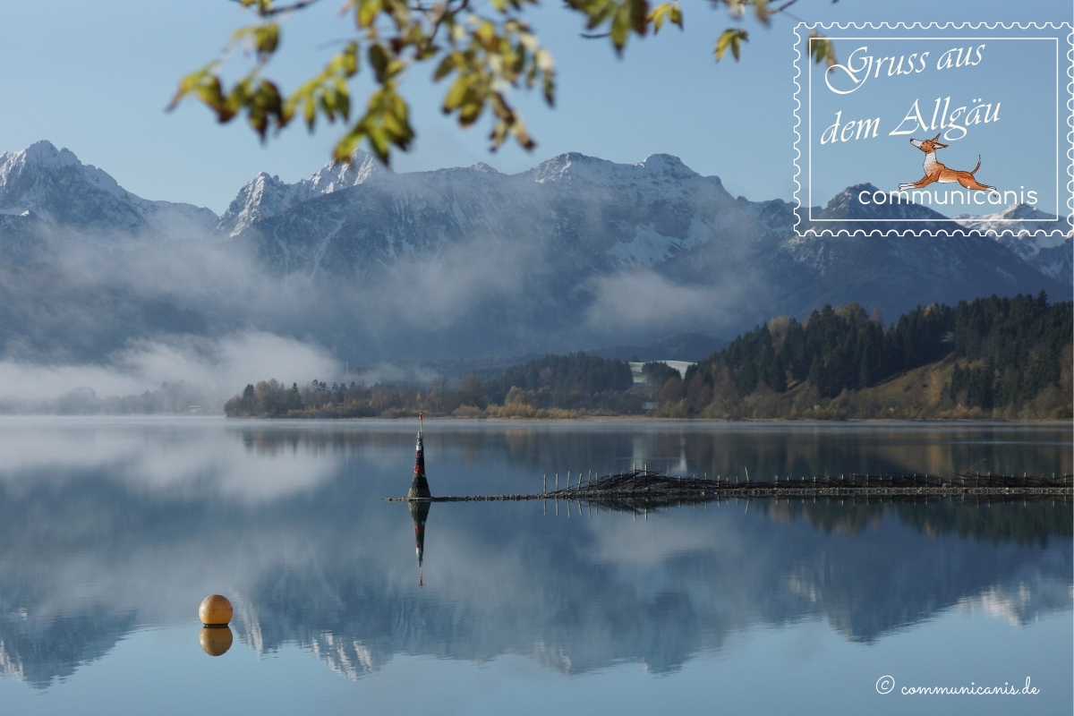 Forggensee im Morgennebel