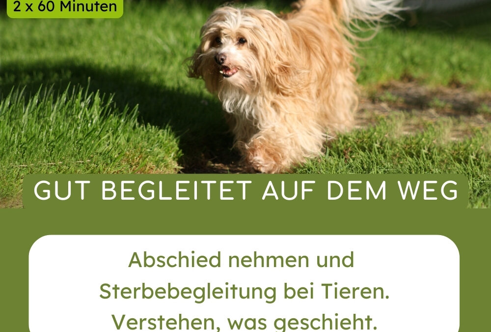 Gut begleitet auf dem letzten Weg.