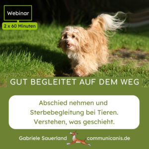 Gut begleitet auf dem Weg