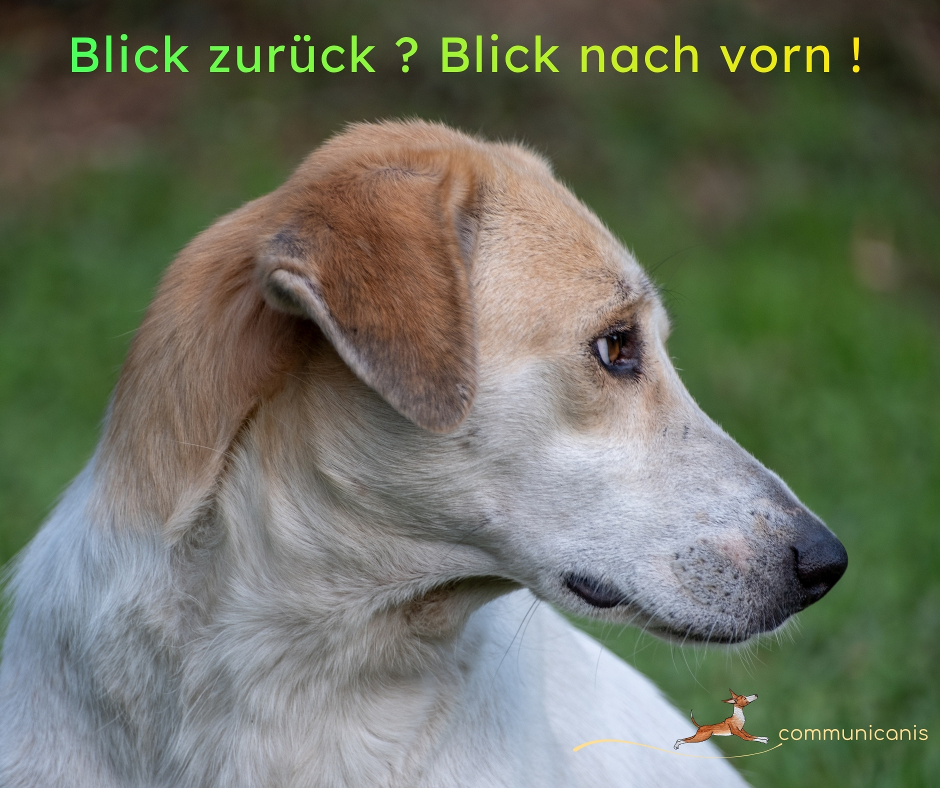 Blick zurück ? Blick nach vorn !