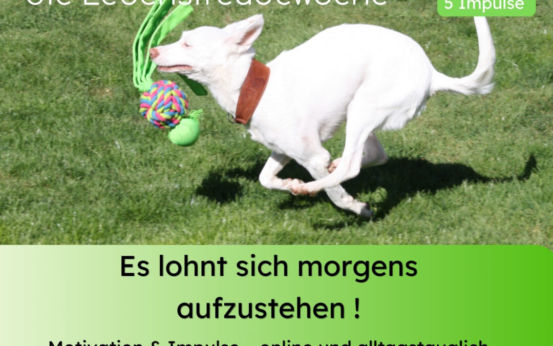Hygge – die Lebensfreudewoche