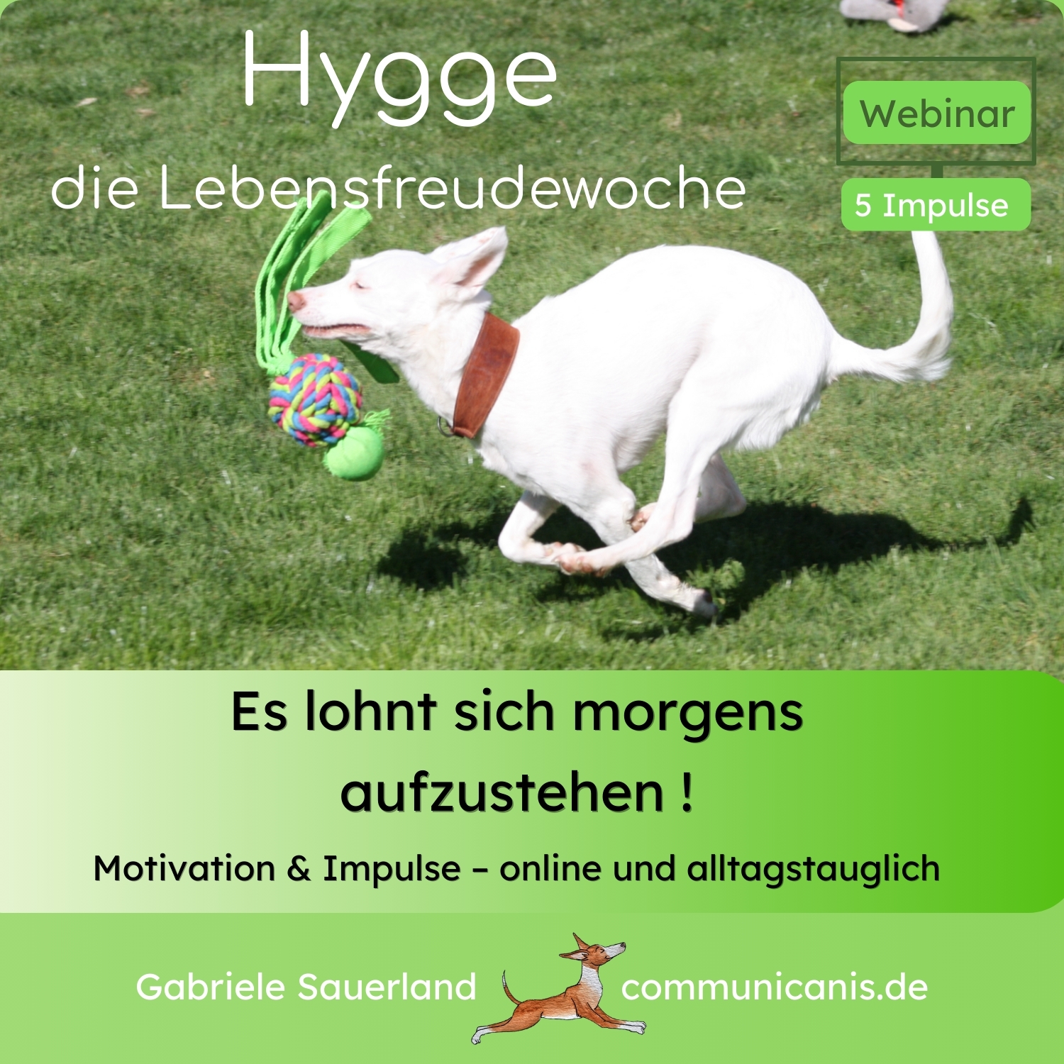 Hygge - die Lebensfreudewoche