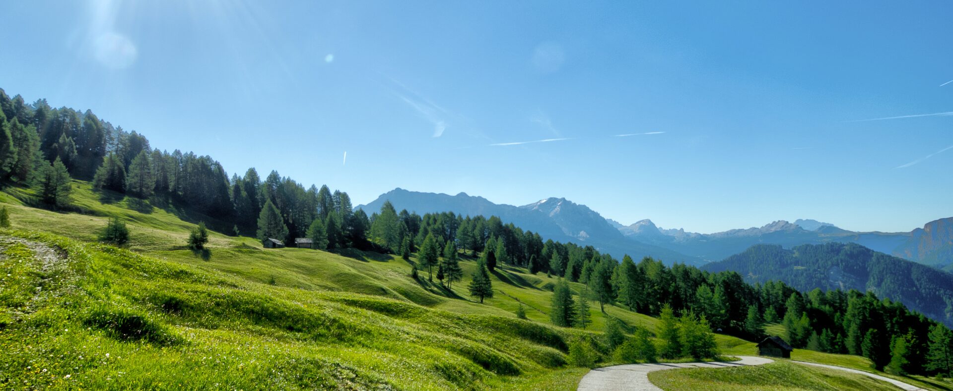 Ihr Weg bei communicanis