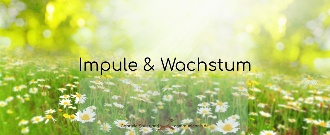 Impulse und Wachstum