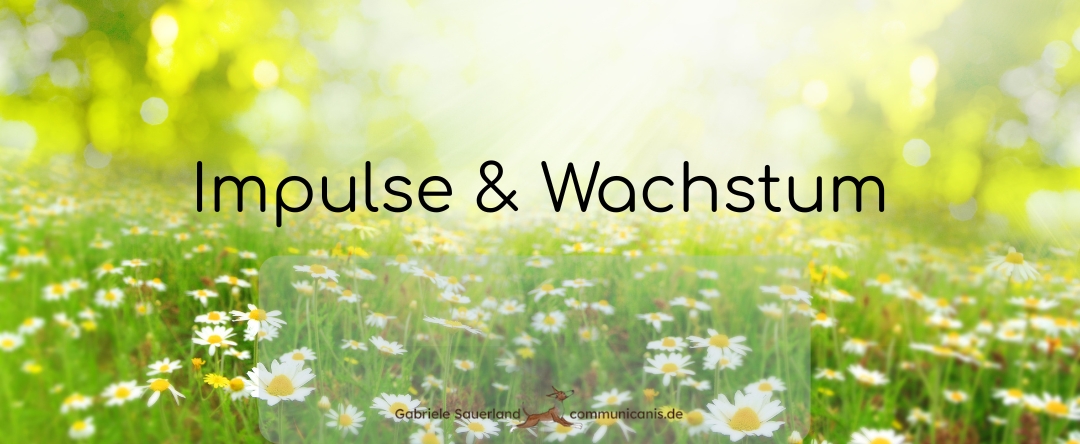 Impulse Wachstum