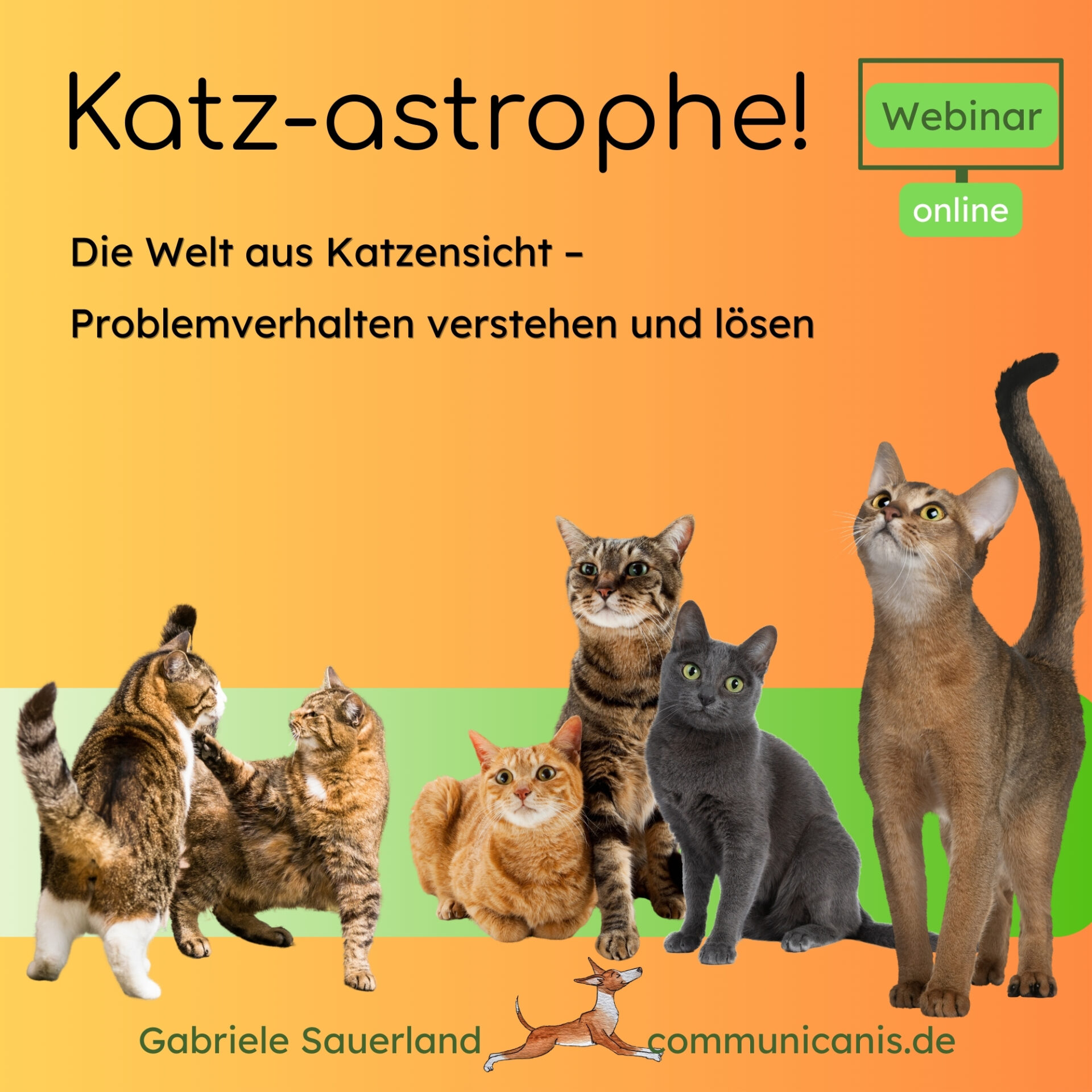 Katz-astrophe! Die Welt aus Katzensicht – Problemverhalten verstehen und lösen