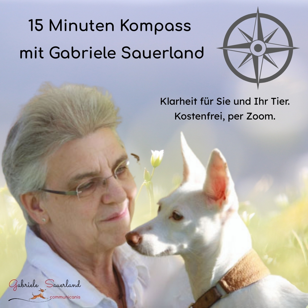 15 Minuten Kompass mit Gabriele Sauerland